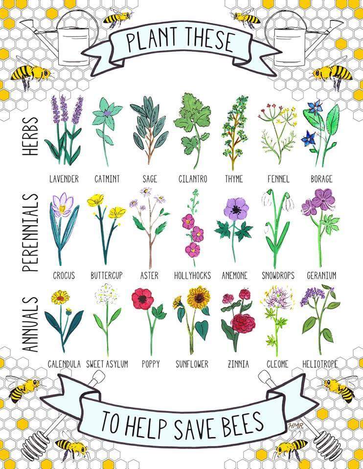 Saving Bees Poster